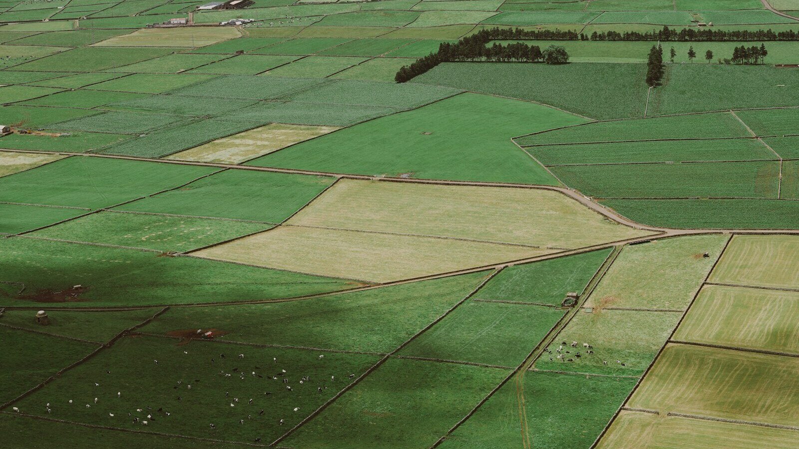 سرے سٹی ہال کی متنازعہ زمین خریداری 1 aerial view of green and brown field