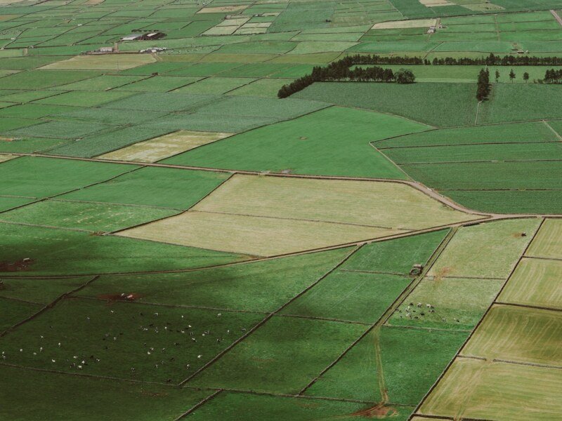 سرے سٹی ہال کی متنازعہ زمین خریداری
