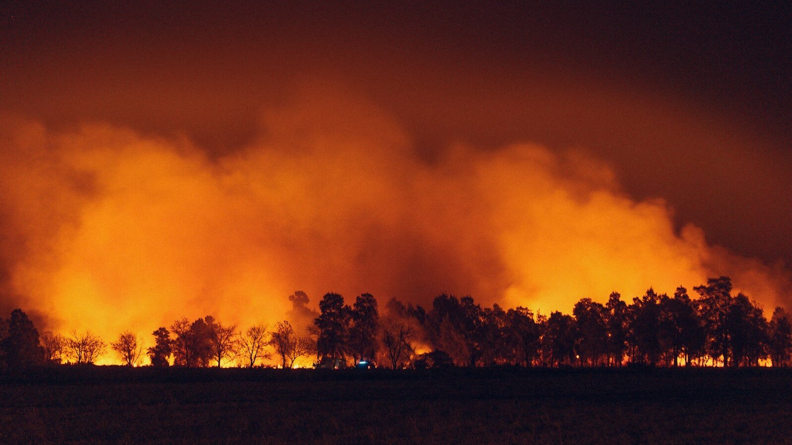 New wildfire near Boston bar quadruples in size overnight