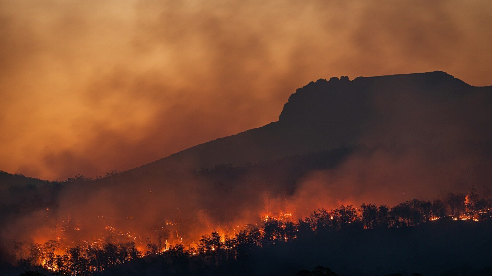 Wildfire North of West Kelowna Triggers Evacuation Alert for 500+ Properties