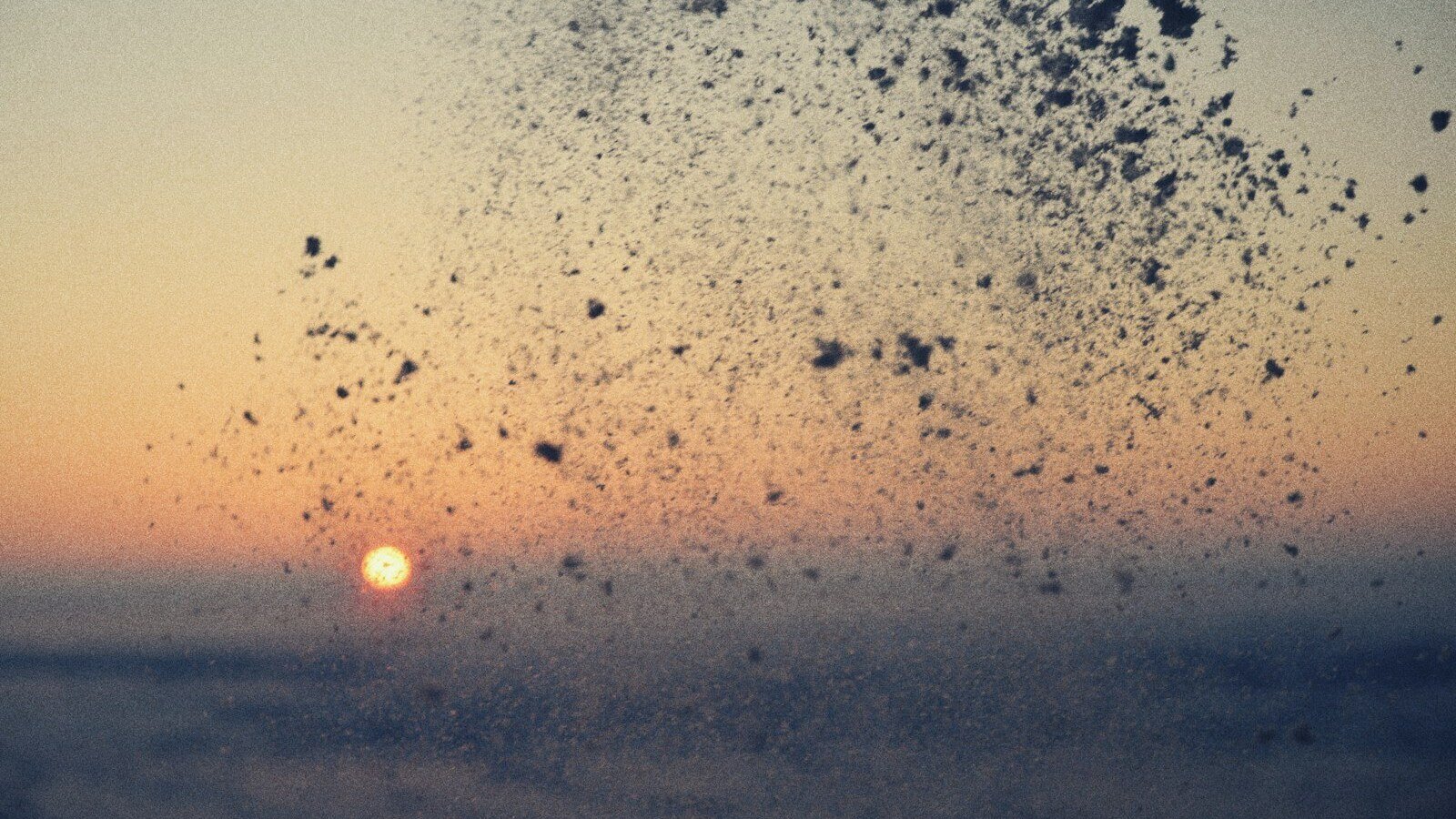 برٹش کولمبیا میں راکھ بکھیرنے کے لیے پہلی باقاعدہ جگہ کا اعلان 1 Snow falling against a sunset sky